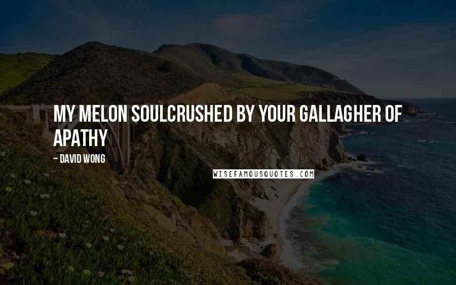 David Wong Quotes: My melon soulCrushed by your Gallagher of apathy