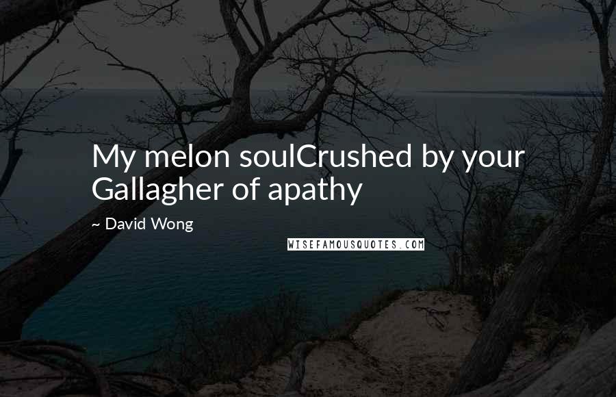 David Wong Quotes: My melon soulCrushed by your Gallagher of apathy