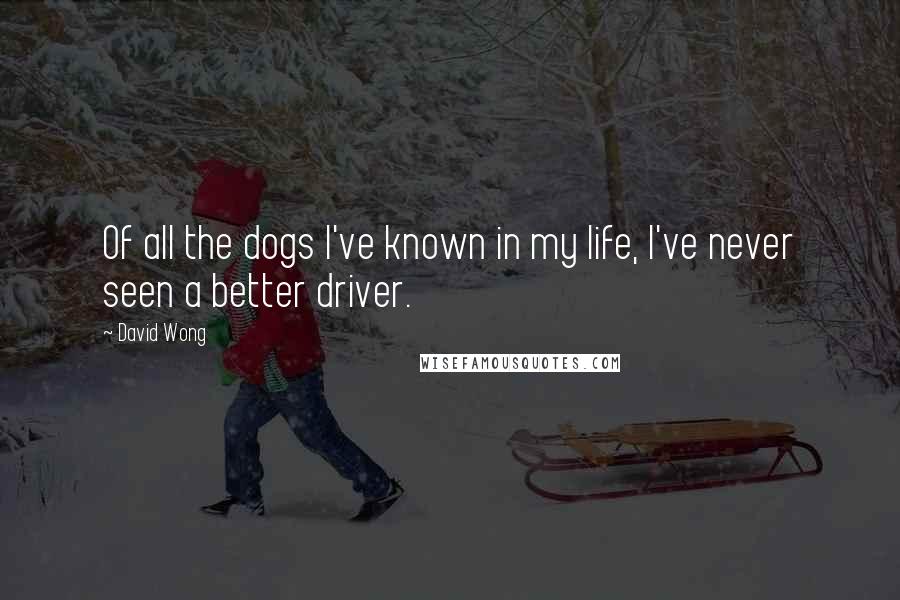David Wong Quotes: Of all the dogs I've known in my life, I've never seen a better driver.