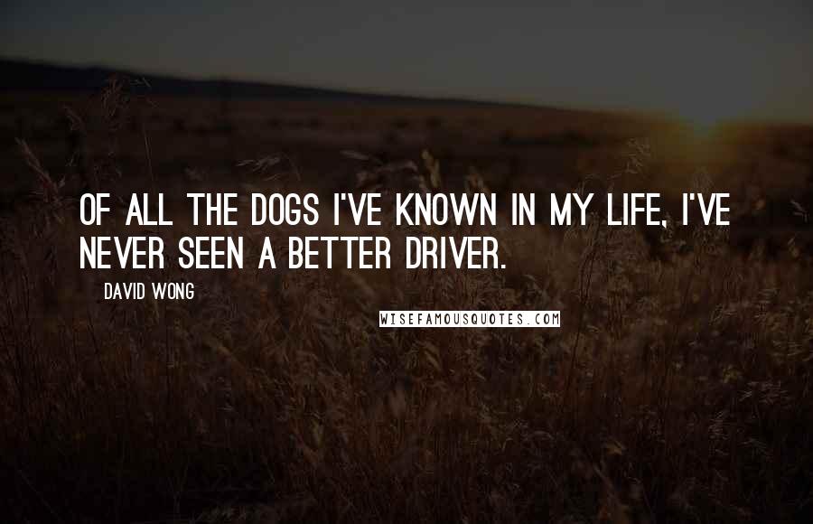 David Wong Quotes: Of all the dogs I've known in my life, I've never seen a better driver.