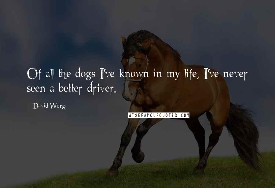 David Wong Quotes: Of all the dogs I've known in my life, I've never seen a better driver.