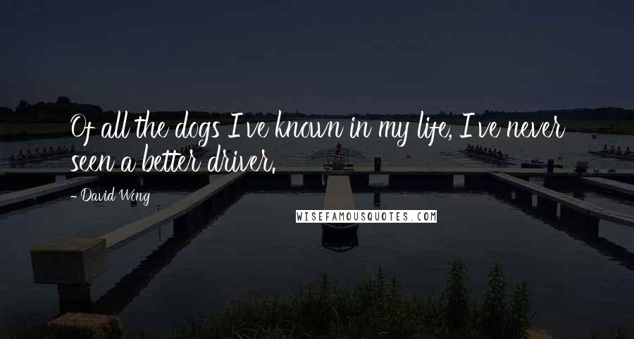 David Wong Quotes: Of all the dogs I've known in my life, I've never seen a better driver.