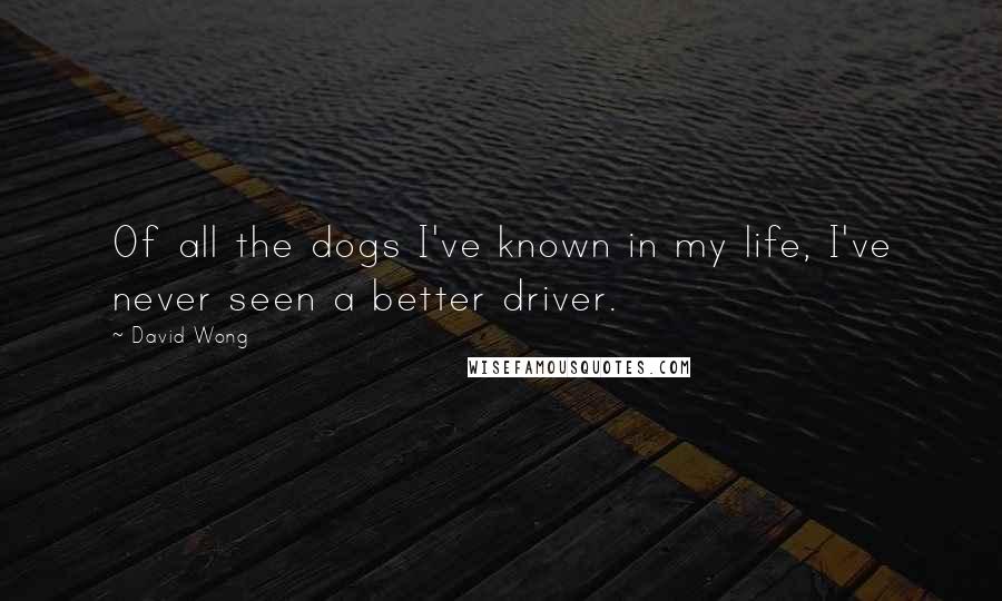 David Wong Quotes: Of all the dogs I've known in my life, I've never seen a better driver.