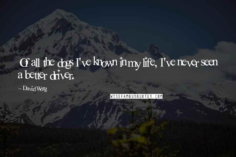 David Wong Quotes: Of all the dogs I've known in my life, I've never seen a better driver.