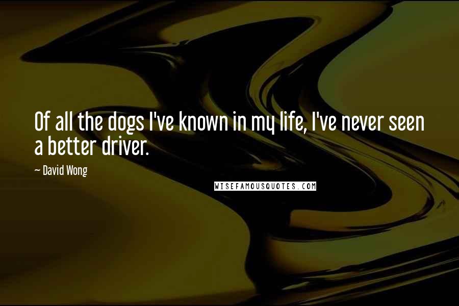 David Wong Quotes: Of all the dogs I've known in my life, I've never seen a better driver.