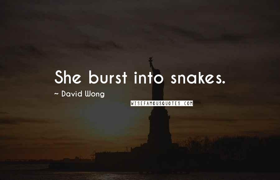 David Wong Quotes: She burst into snakes.