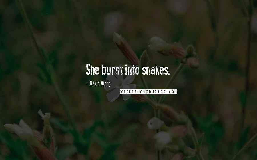 David Wong Quotes: She burst into snakes.