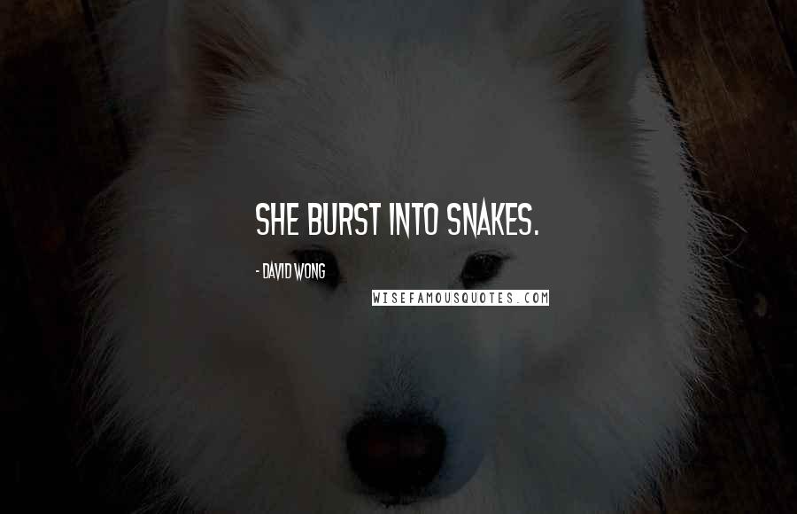 David Wong Quotes: She burst into snakes.