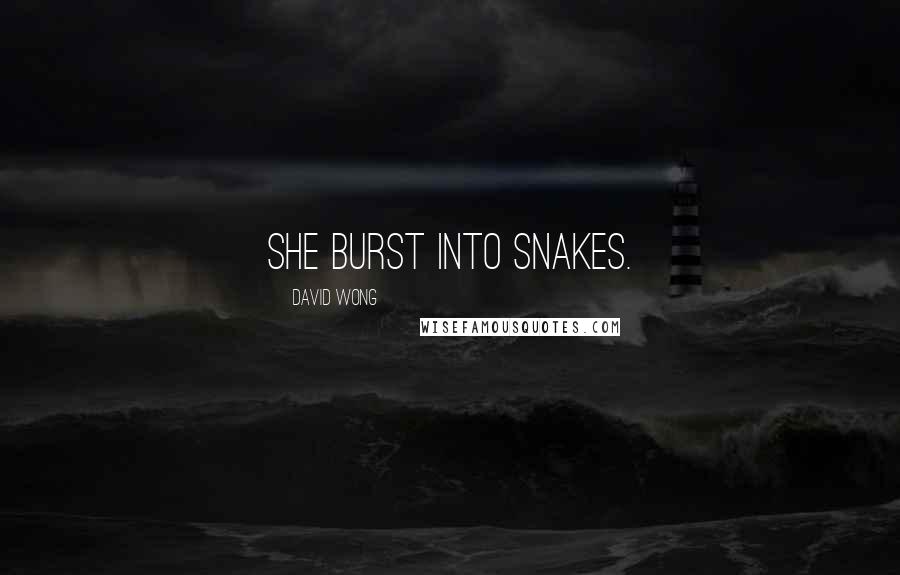 David Wong Quotes: She burst into snakes.