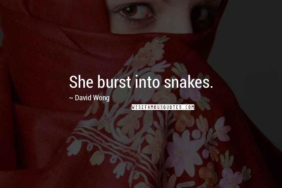 David Wong Quotes: She burst into snakes.