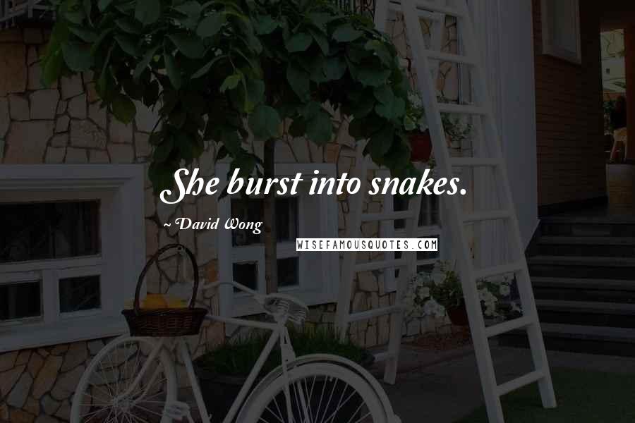 David Wong Quotes: She burst into snakes.