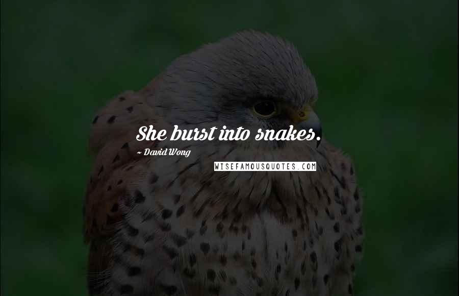 David Wong Quotes: She burst into snakes.