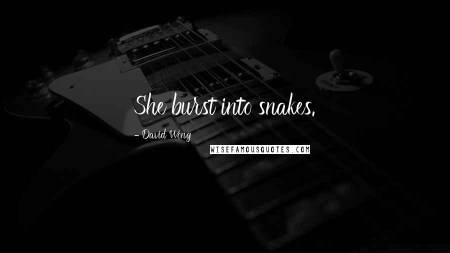 David Wong Quotes: She burst into snakes.