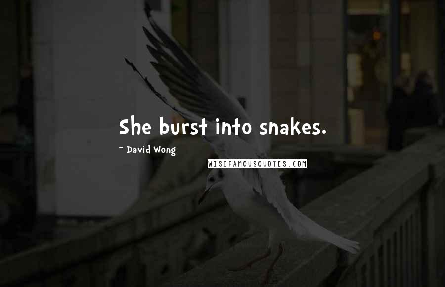 David Wong Quotes: She burst into snakes.