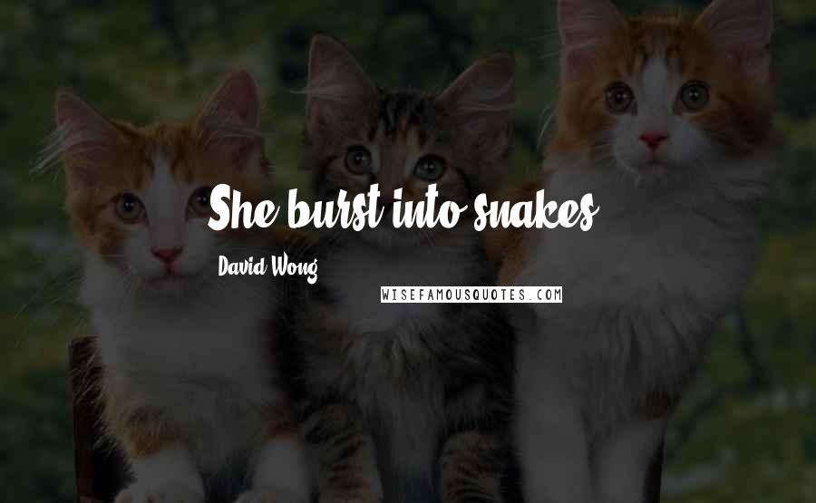 David Wong Quotes: She burst into snakes.