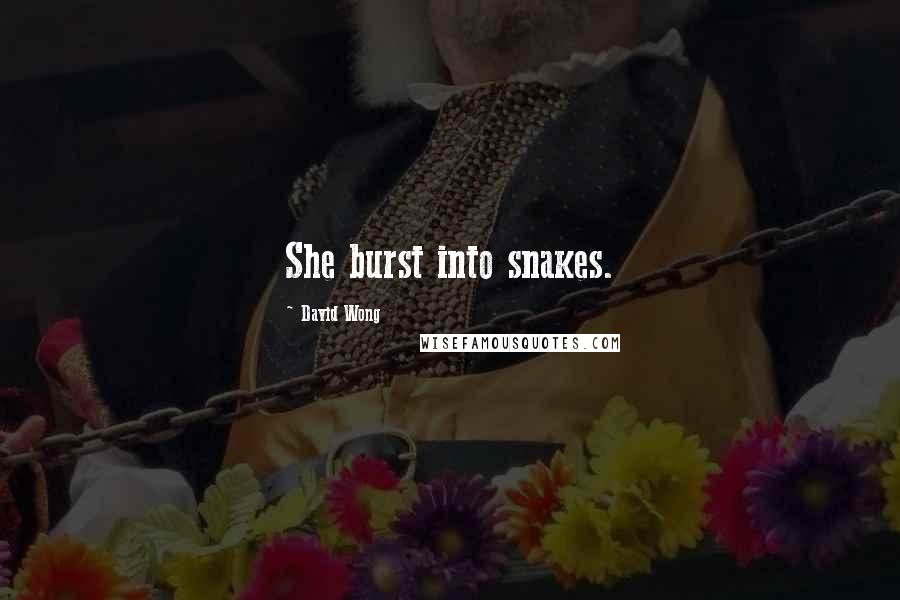 David Wong Quotes: She burst into snakes.