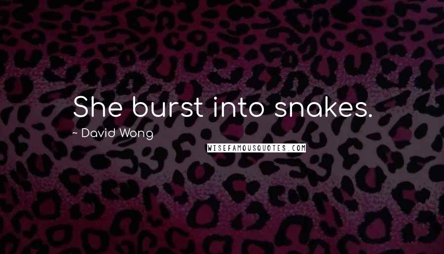 David Wong Quotes: She burst into snakes.