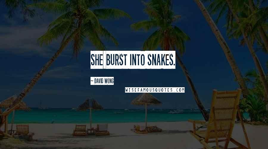 David Wong Quotes: She burst into snakes.