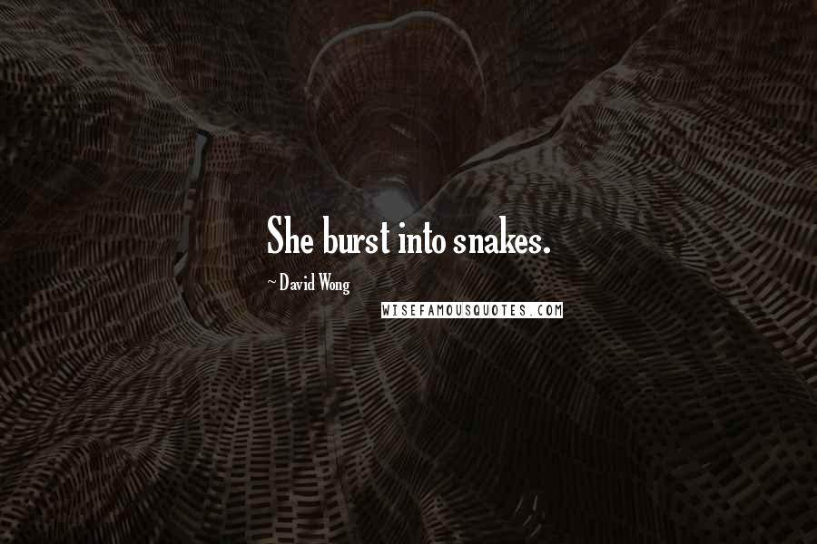 David Wong Quotes: She burst into snakes.