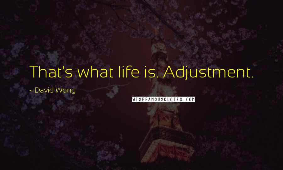 David Wong Quotes: That's what life is. Adjustment.