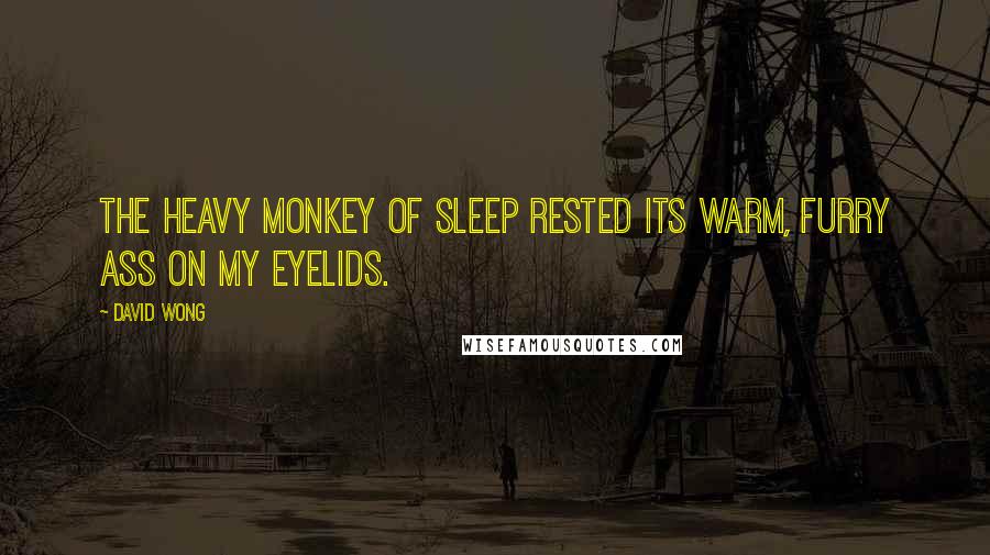 David Wong Quotes: The heavy monkey of sleep rested its warm, furry ass on my eyelids.