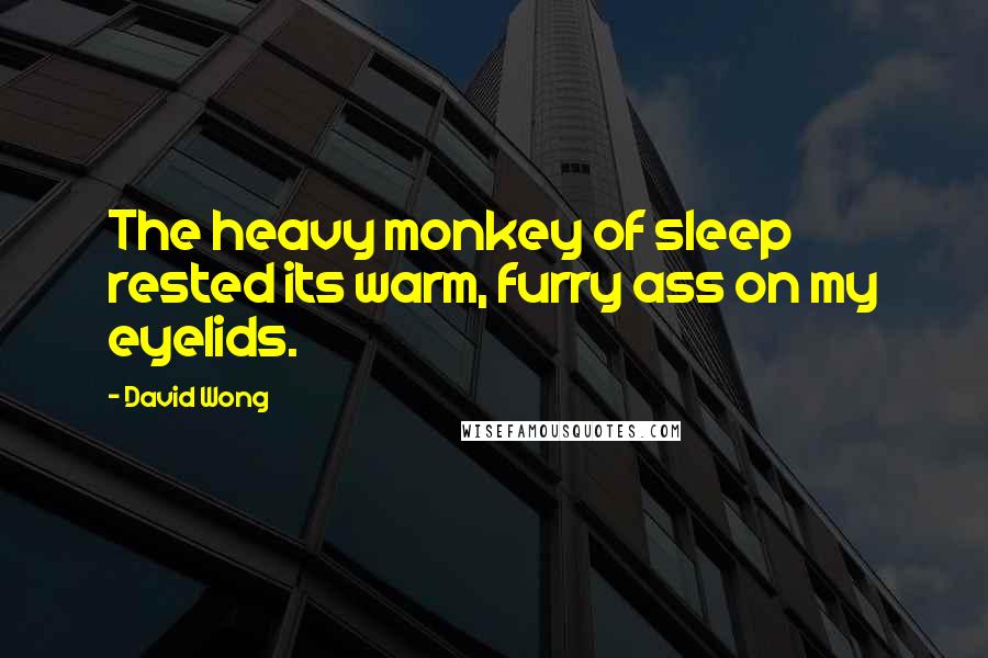 David Wong Quotes: The heavy monkey of sleep rested its warm, furry ass on my eyelids.