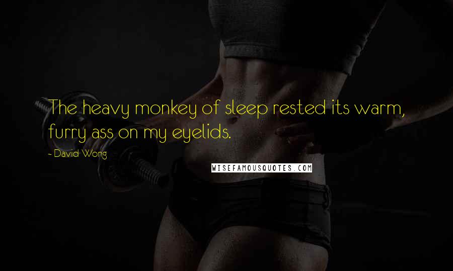 David Wong Quotes: The heavy monkey of sleep rested its warm, furry ass on my eyelids.