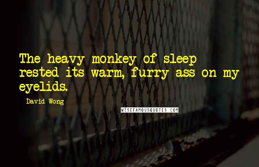 David Wong Quotes: The heavy monkey of sleep rested its warm, furry ass on my eyelids.