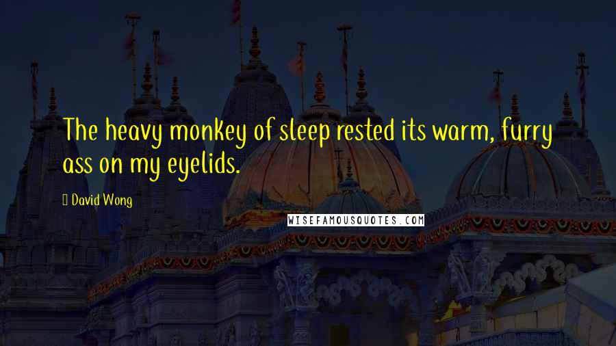 David Wong Quotes: The heavy monkey of sleep rested its warm, furry ass on my eyelids.