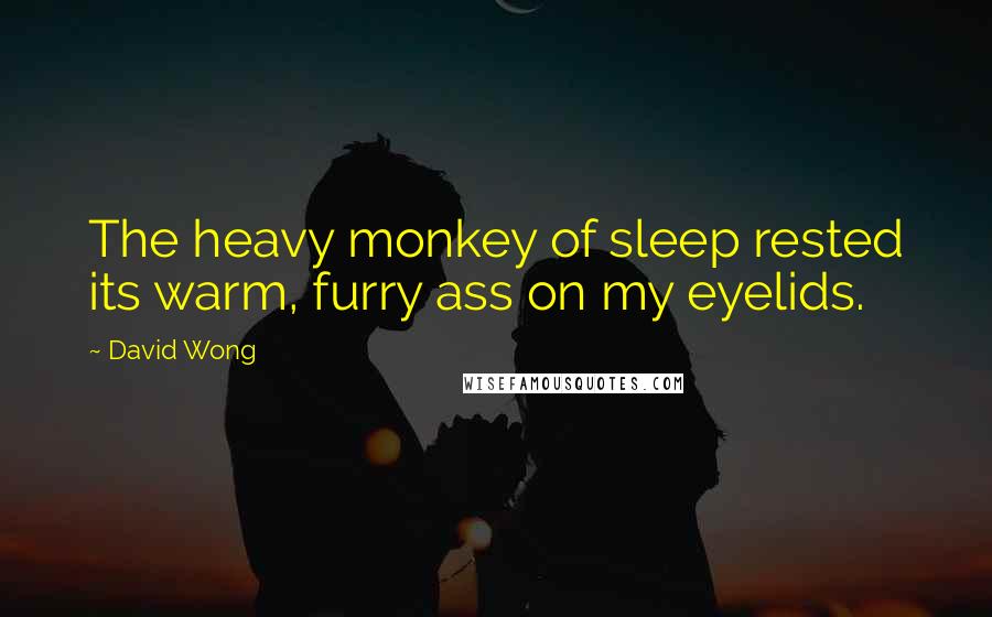 David Wong Quotes: The heavy monkey of sleep rested its warm, furry ass on my eyelids.