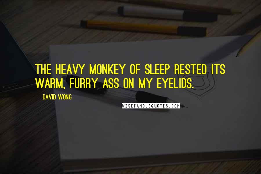 David Wong Quotes: The heavy monkey of sleep rested its warm, furry ass on my eyelids.