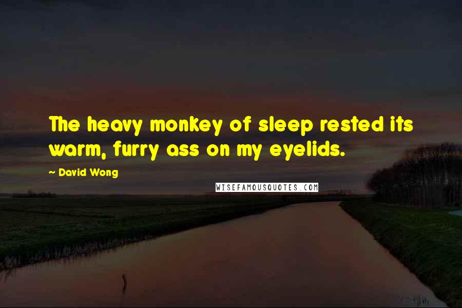 David Wong Quotes: The heavy monkey of sleep rested its warm, furry ass on my eyelids.