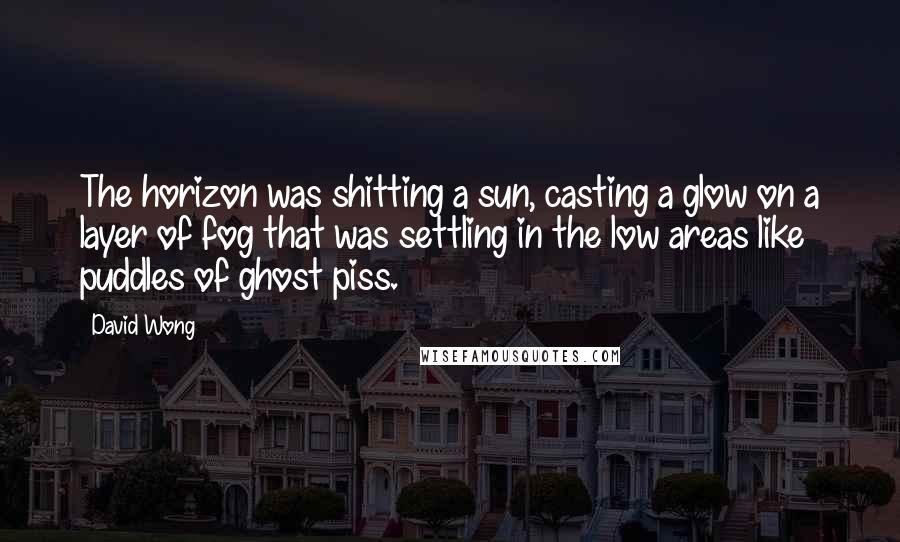 David Wong Quotes: The horizon was shitting a sun, casting a glow on a layer of fog that was settling in the low areas like puddles of ghost piss.