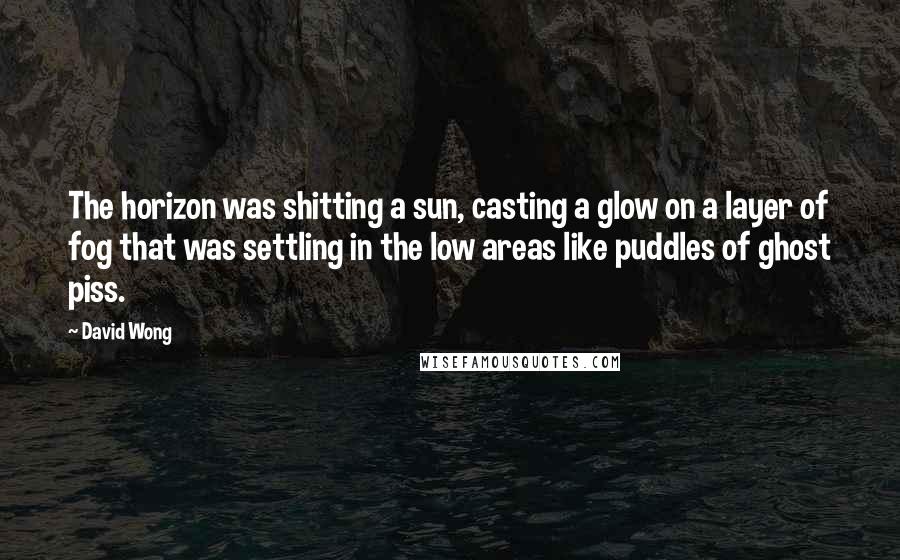 David Wong Quotes: The horizon was shitting a sun, casting a glow on a layer of fog that was settling in the low areas like puddles of ghost piss.