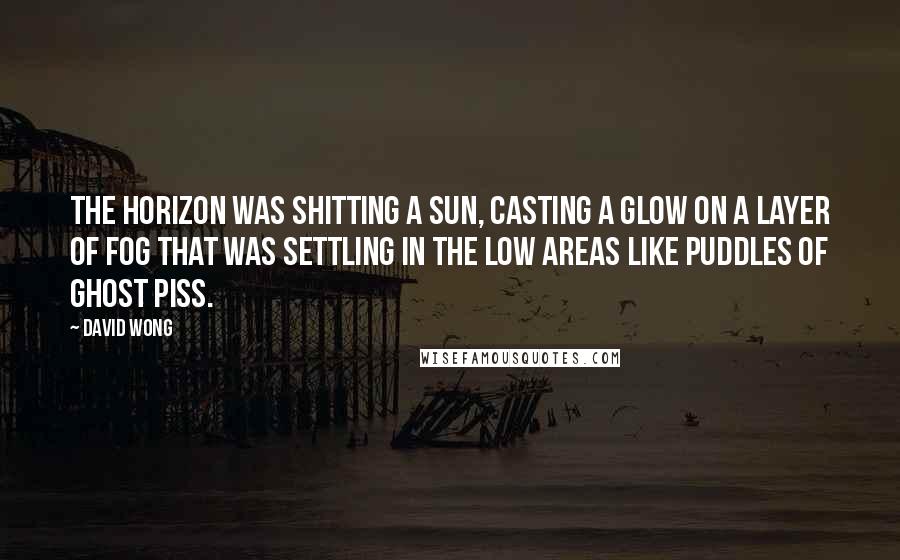 David Wong Quotes: The horizon was shitting a sun, casting a glow on a layer of fog that was settling in the low areas like puddles of ghost piss.