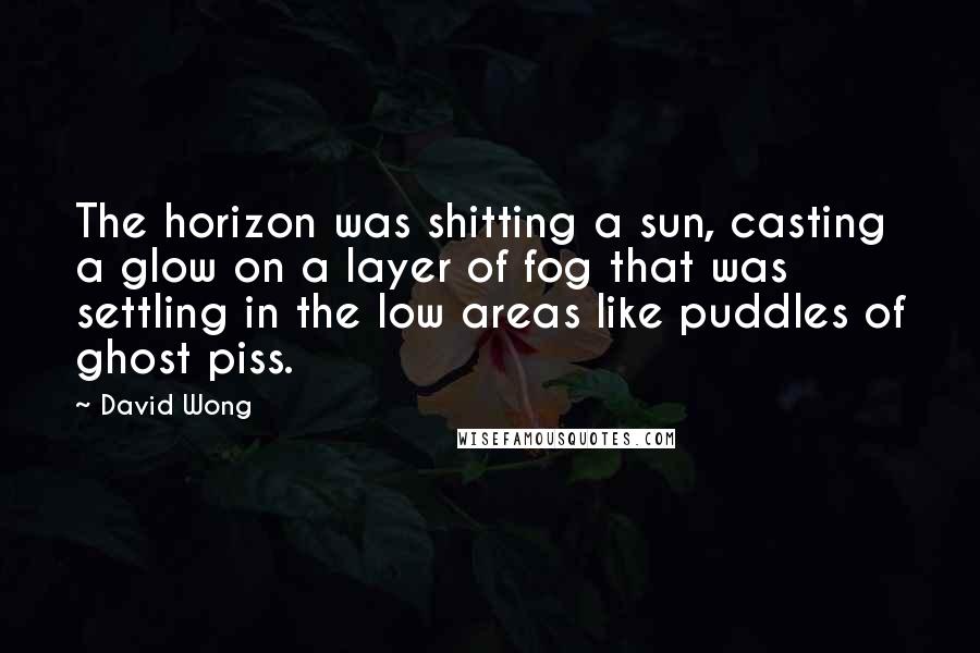 David Wong Quotes: The horizon was shitting a sun, casting a glow on a layer of fog that was settling in the low areas like puddles of ghost piss.