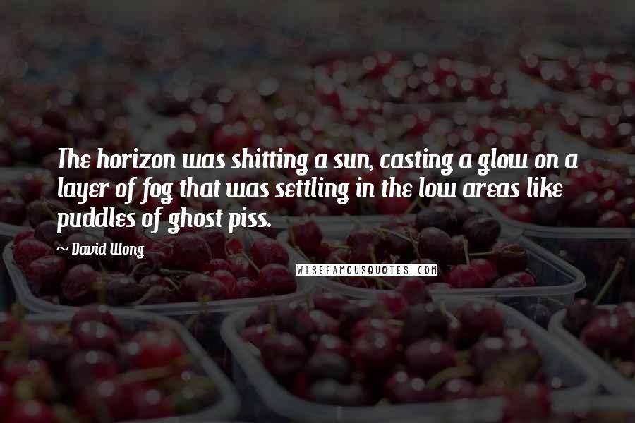 David Wong Quotes: The horizon was shitting a sun, casting a glow on a layer of fog that was settling in the low areas like puddles of ghost piss.