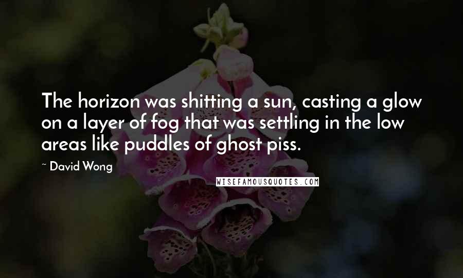 David Wong Quotes: The horizon was shitting a sun, casting a glow on a layer of fog that was settling in the low areas like puddles of ghost piss.