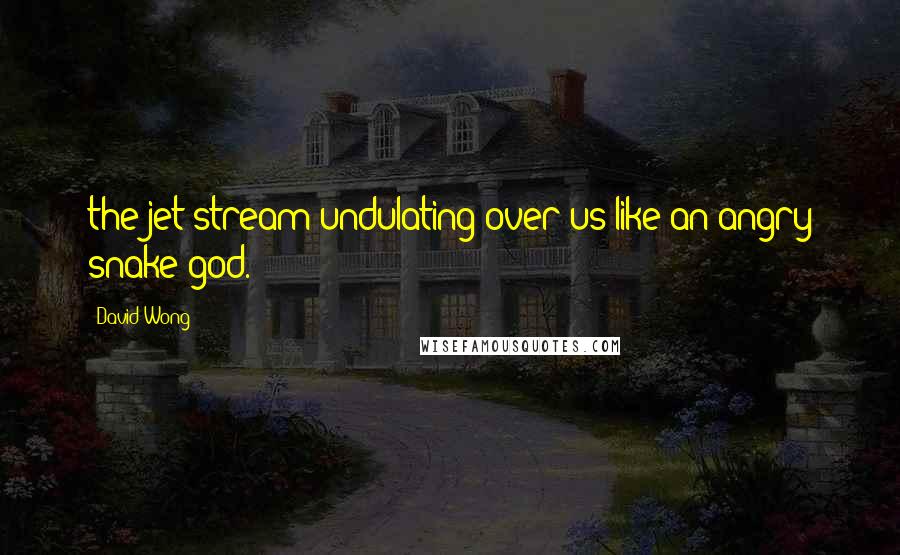 David Wong Quotes: the jet stream undulating over us like an angry snake god.