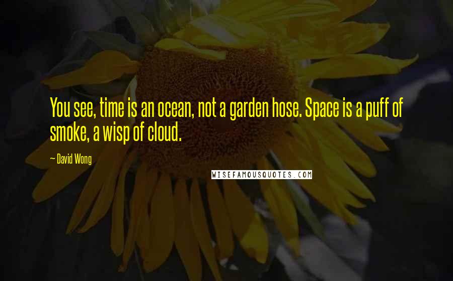 David Wong Quotes: You see, time is an ocean, not a garden hose. Space is a puff of smoke, a wisp of cloud.