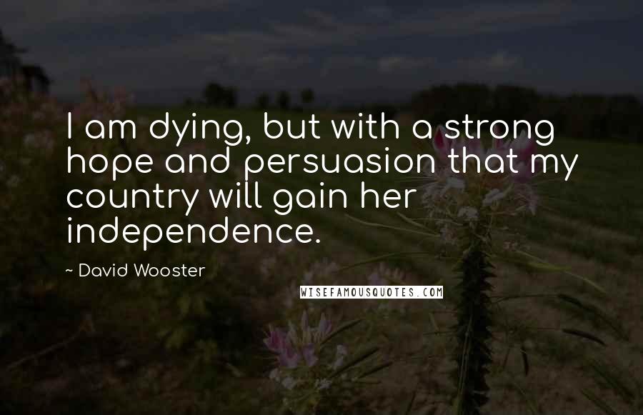 David Wooster Quotes: I am dying, but with a strong hope and persuasion that my country will gain her independence.
