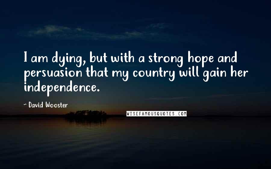 David Wooster Quotes: I am dying, but with a strong hope and persuasion that my country will gain her independence.