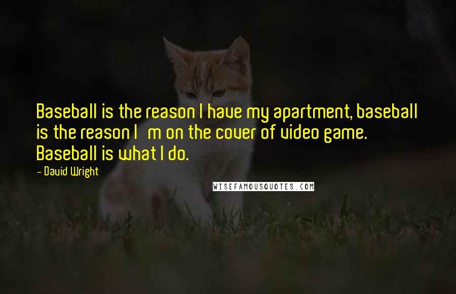 David Wright Quotes: Baseball is the reason I have my apartment, baseball is the reason I'm on the cover of video game. Baseball is what I do.