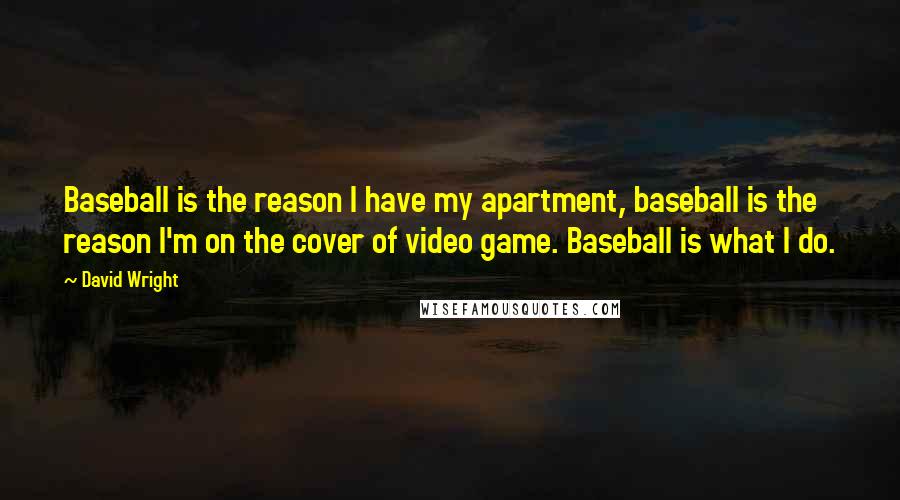 David Wright Quotes: Baseball is the reason I have my apartment, baseball is the reason I'm on the cover of video game. Baseball is what I do.