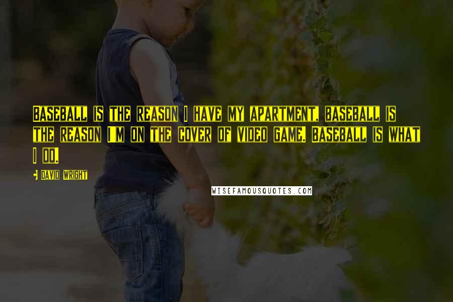 David Wright Quotes: Baseball is the reason I have my apartment, baseball is the reason I'm on the cover of video game. Baseball is what I do.
