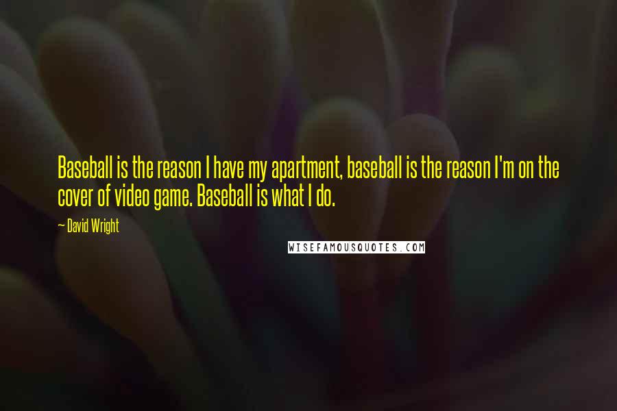 David Wright Quotes: Baseball is the reason I have my apartment, baseball is the reason I'm on the cover of video game. Baseball is what I do.