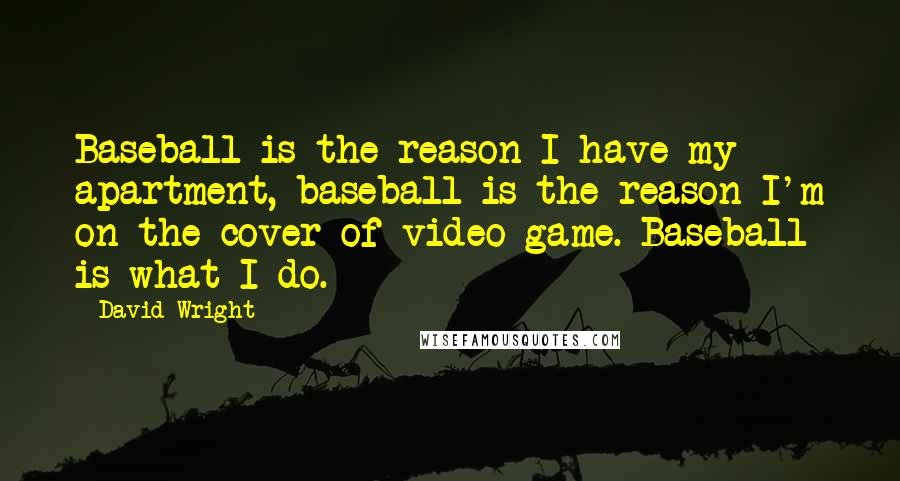 David Wright Quotes: Baseball is the reason I have my apartment, baseball is the reason I'm on the cover of video game. Baseball is what I do.