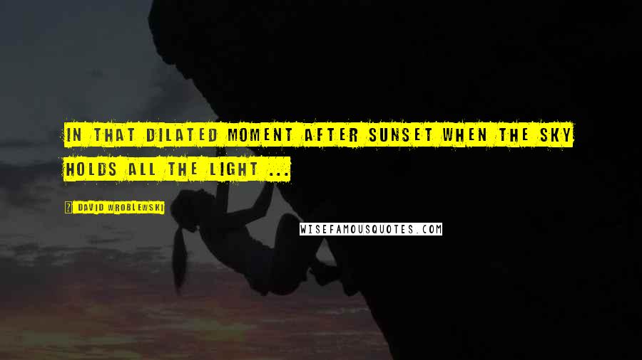 David Wroblewski Quotes: In that dilated moment after sunset when the sky holds all the light ...