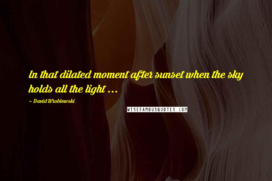 David Wroblewski Quotes: In that dilated moment after sunset when the sky holds all the light ...