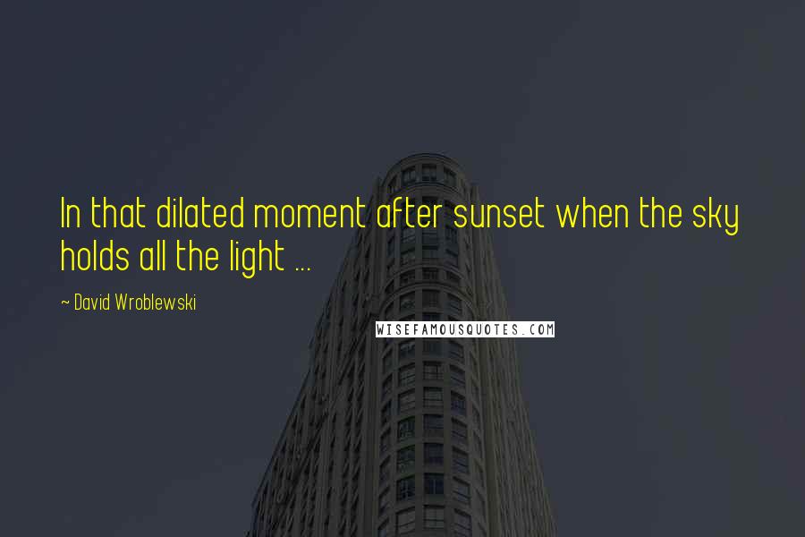 David Wroblewski Quotes: In that dilated moment after sunset when the sky holds all the light ...